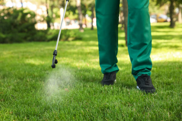 Best Affordable Pest Control Services  in Murray, UT