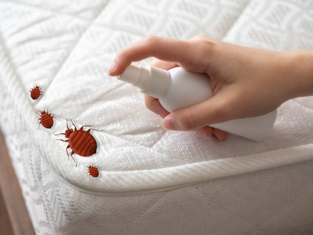 Pest Control for Restaurants in Murray, UT