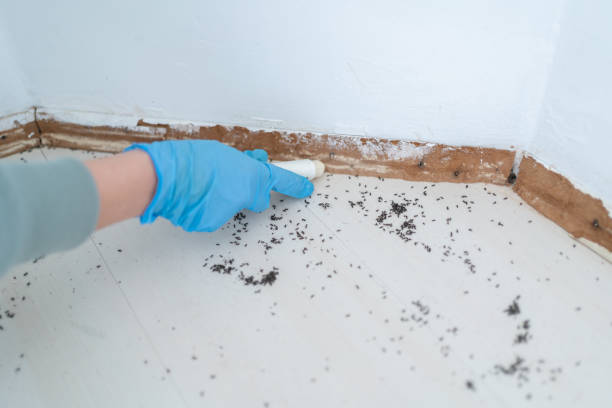 Murray, UT Pest Control Company